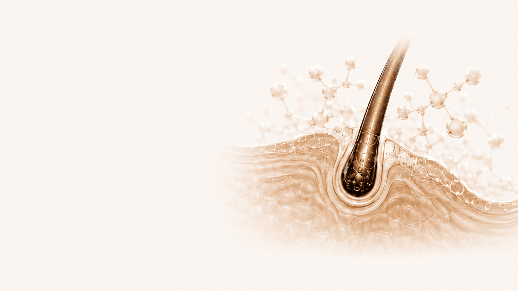 QQ Protein-Peptide Technology